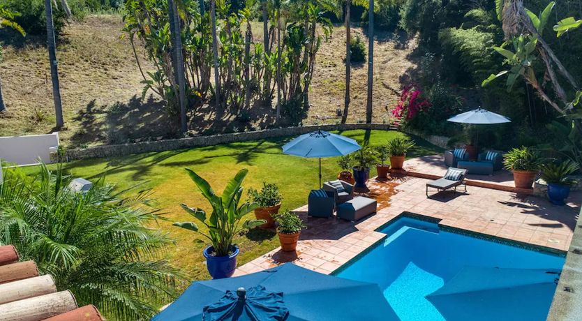 Photo of Canyon Cacti