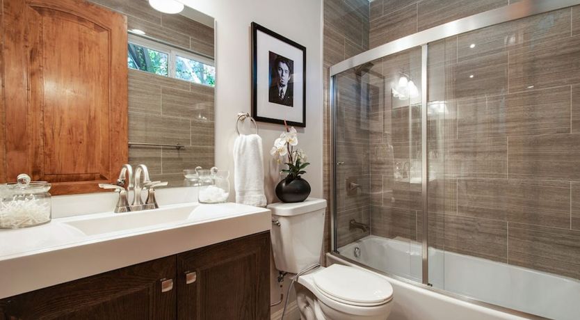 Photo of Canyon Cacti