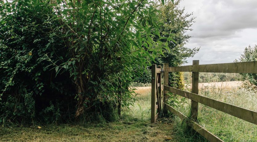 Photo of Limestone Hills