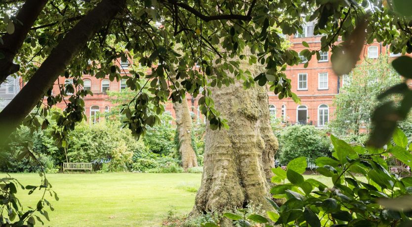 Photo of Renoir's Secret