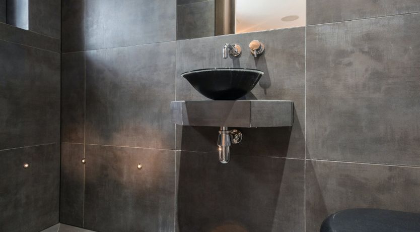 Photo of Renoir's Secret