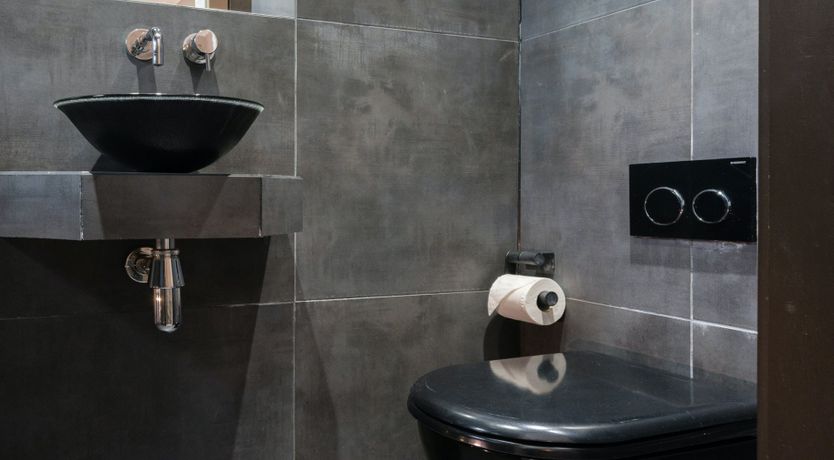 Photo of Renoir's Secret