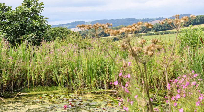 Photo of Callow Fold