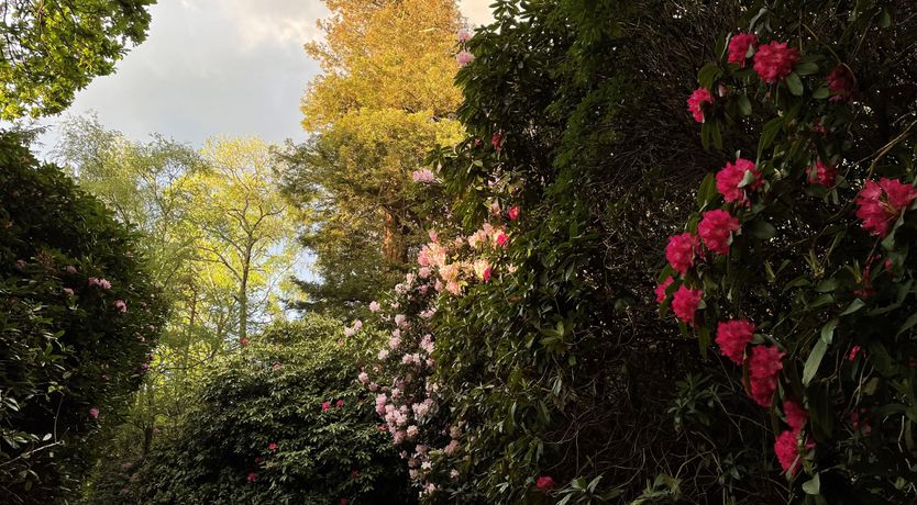 Photo of The Observatory Annexe