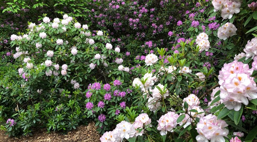 Photo of The Observatory Annexe