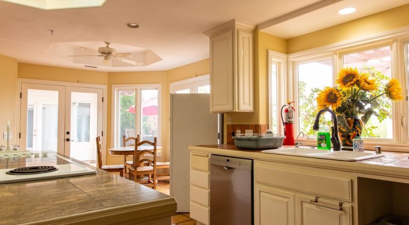 Photo of The Palm Oasis