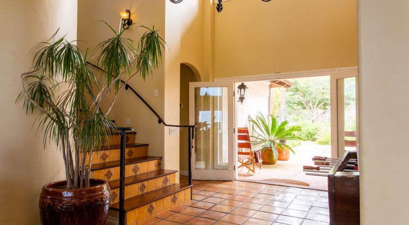 Photo of The Palm Oasis