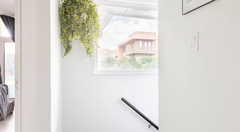 Photo of Texas Red Oak