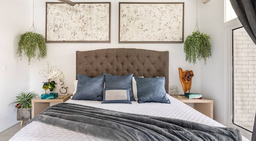 Photo of Texas Red Oak