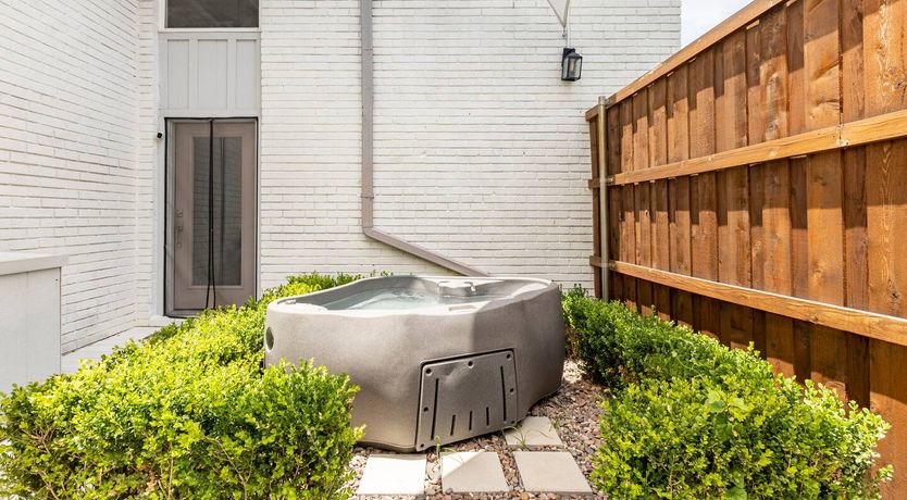 Photo of Texas Red Oak