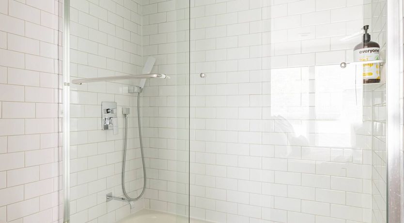 Photo of Texas Red Oak