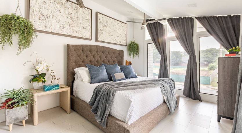 Photo of Texas Red Oak