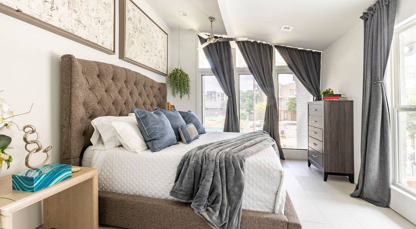 Photo of Texas Red Oak