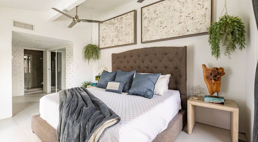 Photo of Texas Red Oak