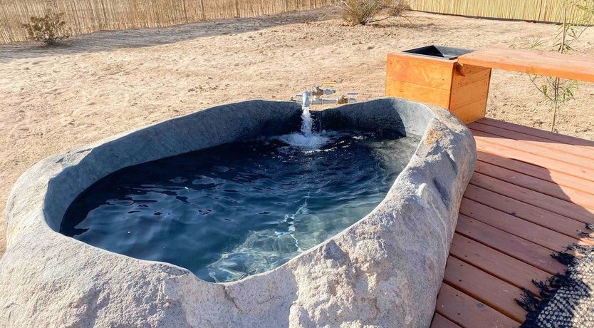 Photo of The Yucca Oasis