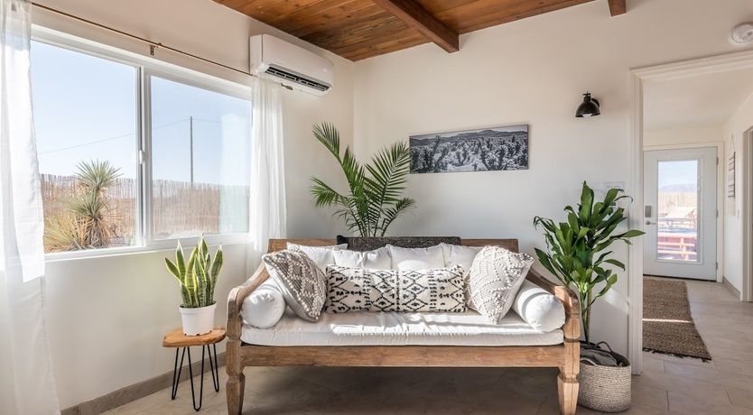 Photo of The Yucca Oasis