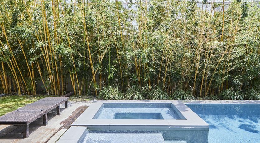 Photo of Designs of Detroit