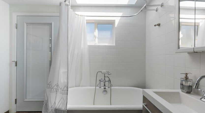 Photo of The Palo Verde Oasis