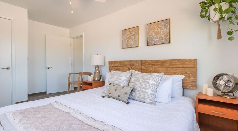 Photo of The Palo Verde Oasis