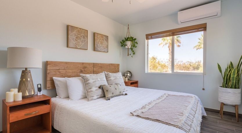 Photo of The Palo Verde Oasis