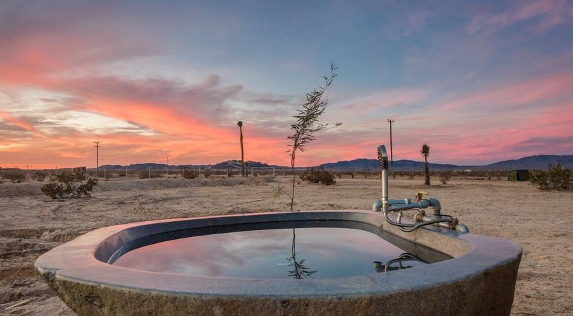 Photo of The Tamarisk Oasis