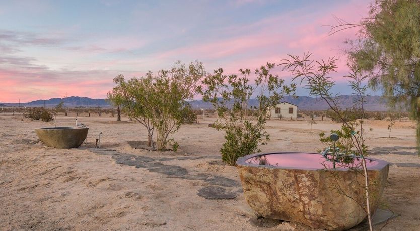 Photo of The Tamarisk Oasis