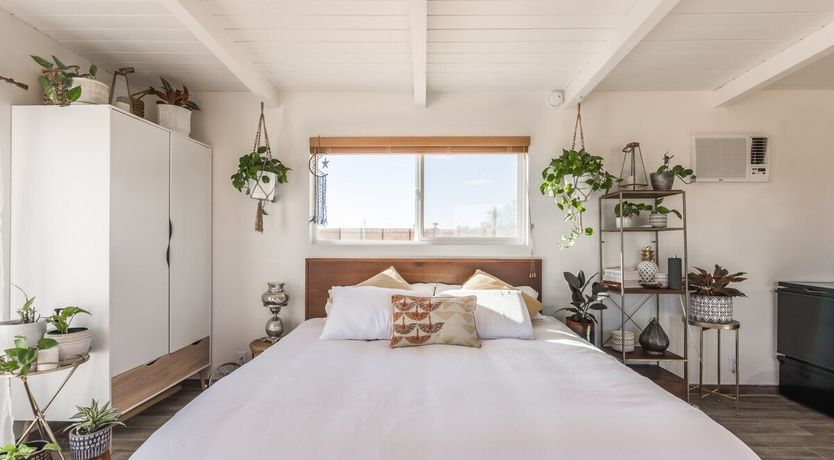 Photo of The Mesquite Oasis