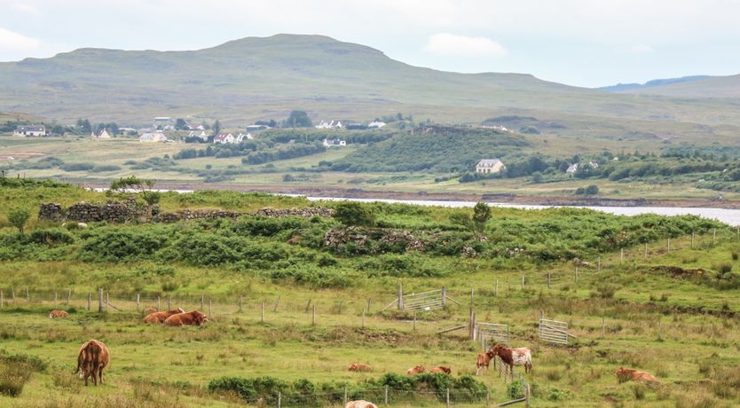 Photo of Burnside Cottage