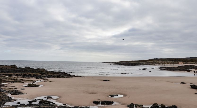 Photo of Seaview at The Doocot