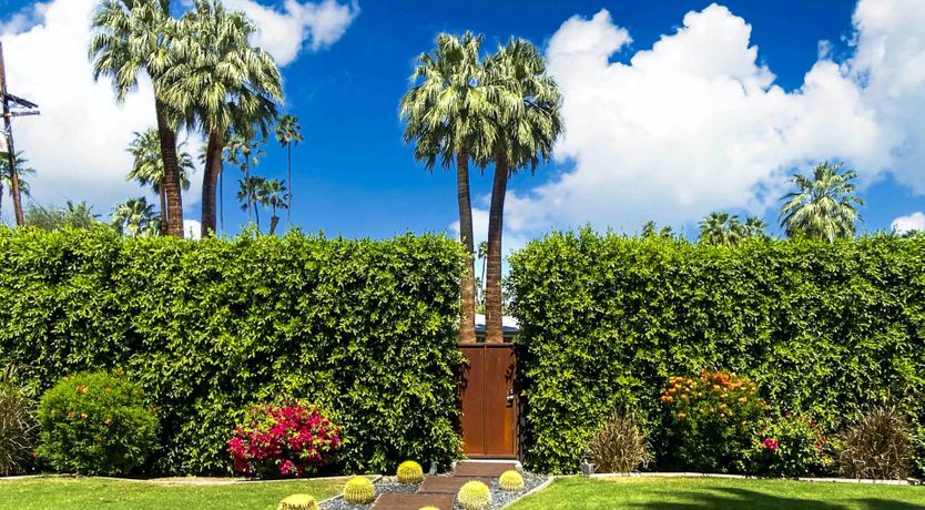 Photo of An Architect's Dream