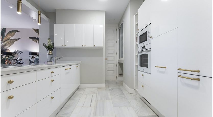 Photo of In the Terrarium