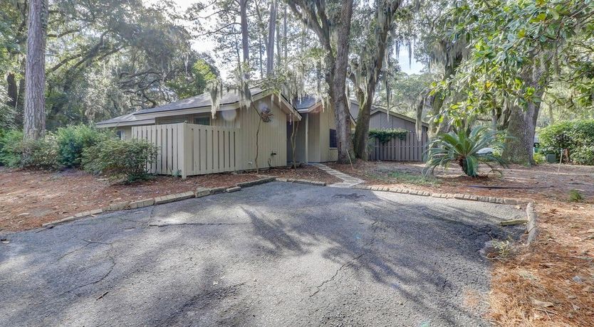 Photo of Oystercatcher