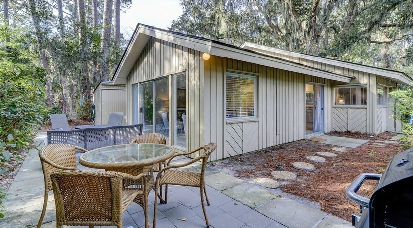 Photo of Oystercatcher