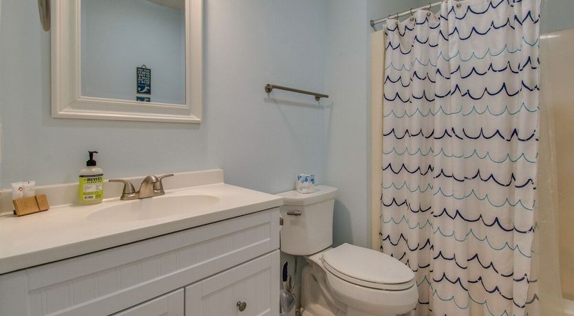 Photo of Oystercatcher