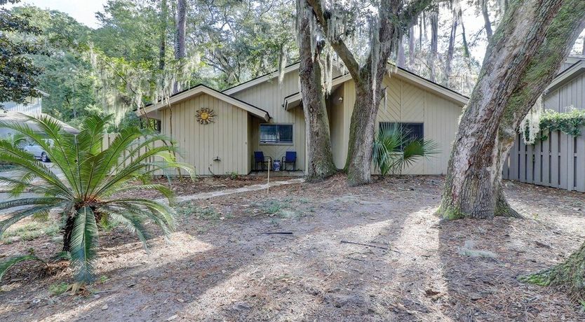 Photo of Oystercatcher