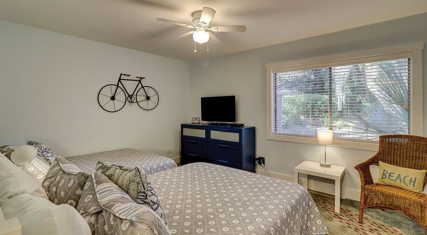 Photo of Oystercatcher