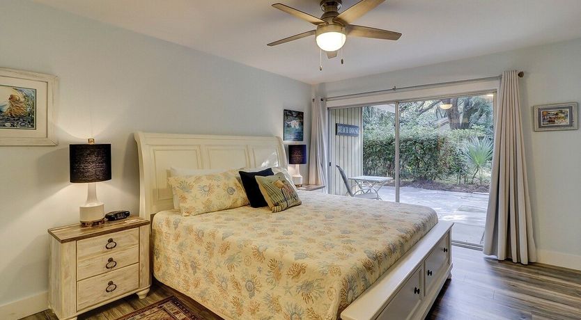 Photo of Oystercatcher