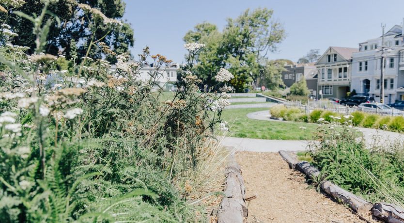 Photo of Valleys & Peaks