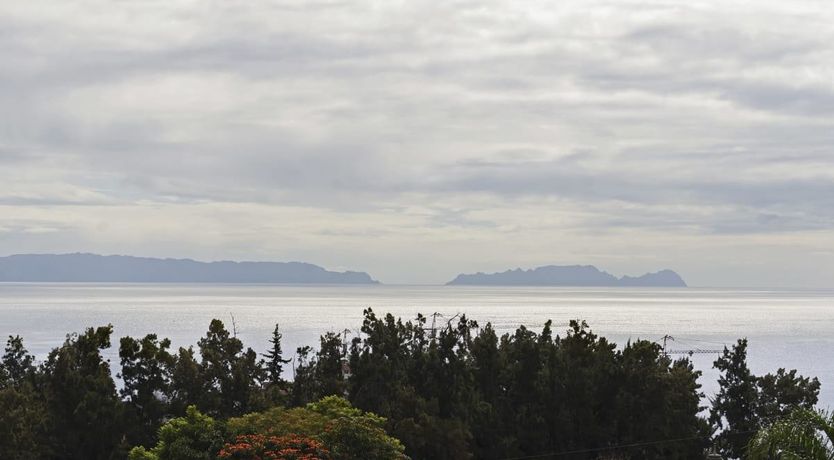 Photo of Tropical Flowers