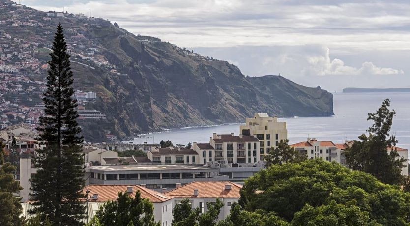 Photo of Tropical Flowers