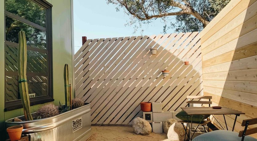 Photo of Desert Lily