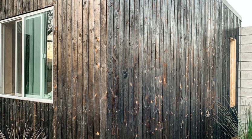 Photo of Desert Lily