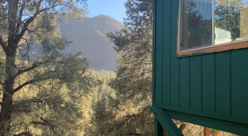 Photo of Keen Evergreen