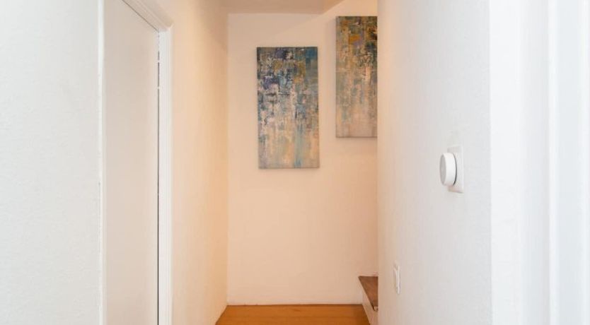 Photo of Keen Evergreen