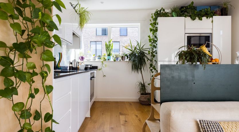 Photo of The Canal Beckons