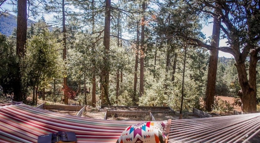 Photo of Under the Dome