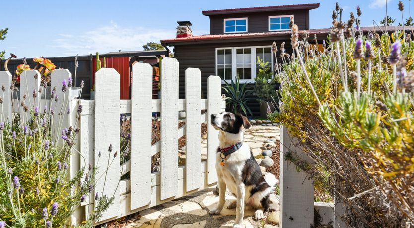 Photo of Crow's Nest