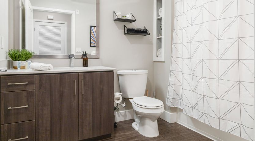 Photo of The New Black