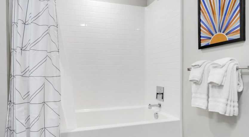 Photo of The New Black