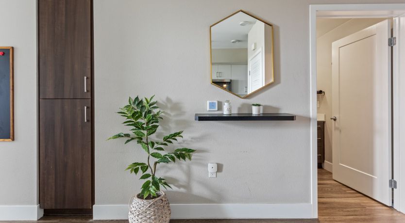 Photo of Teal and Pebble Grey